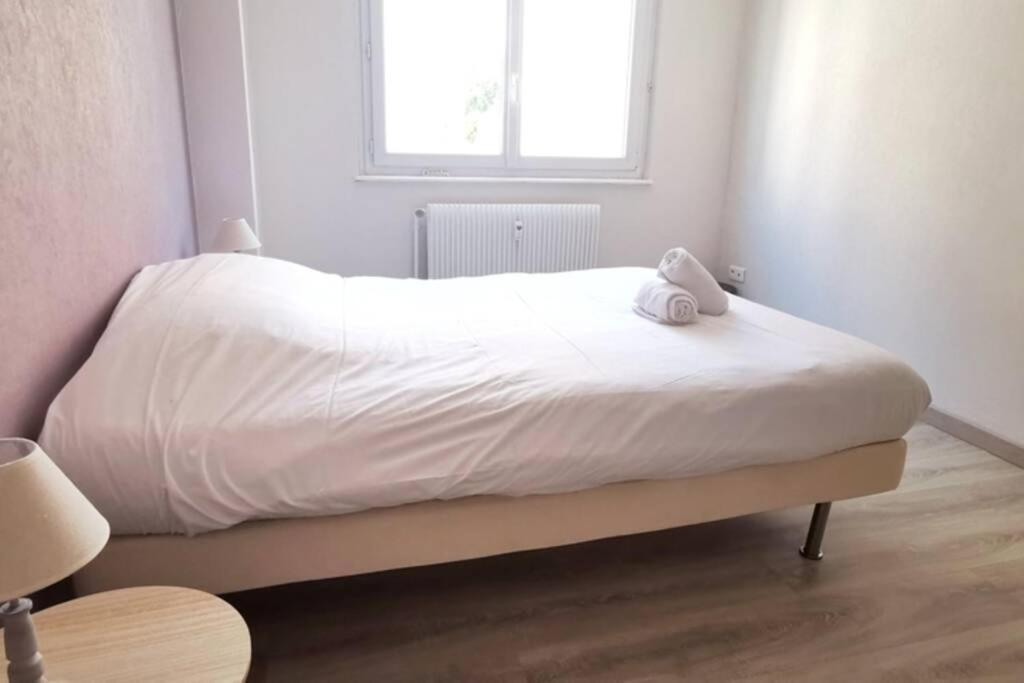 Appartement F2 Cosy Proche Centre Estrasburgo Exterior foto